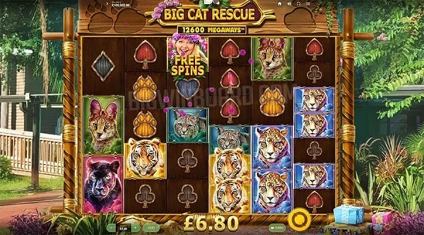 Giới thiệu đôi nét về game Big Cat Rescue Megaways