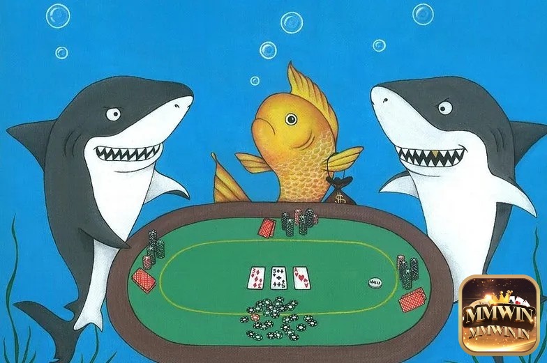 Phát hiện fish trong poker