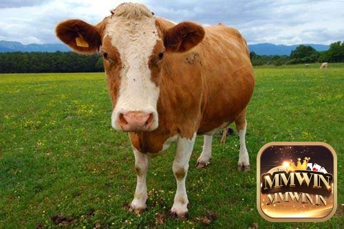 Trong đời sống có phần cơ cực người nông dân, bò là loài động vật quen thuộc