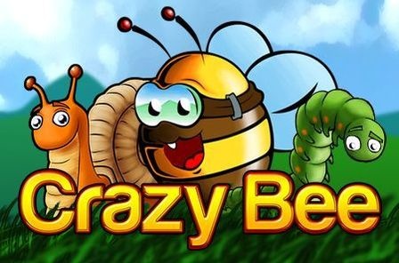 Crazy Bee: Review slot game tạo hình ngộ nghĩnh về hoa và ong