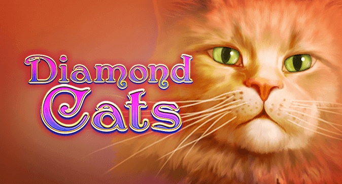 Diamond Cats: Review slot game dành cho người yêu mèo