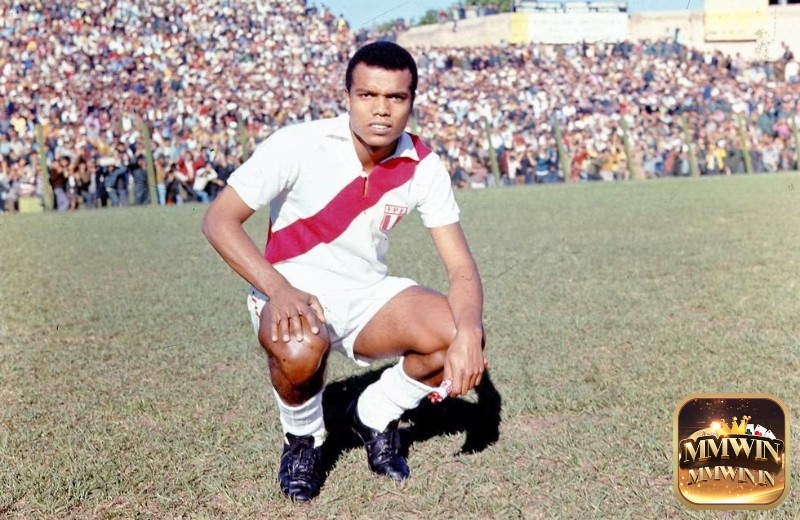 Cubillas cũng là một trong những cầu thủ xuất sắc nhất của đội tuyển Peru.
