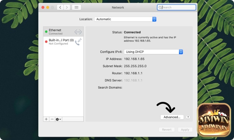 Thay đổi DNS trên macOS