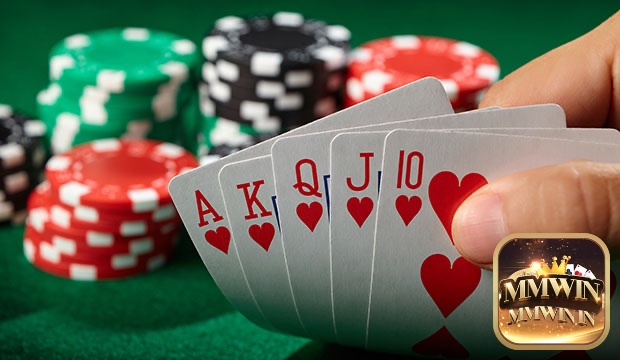 Tìm hiểu những lưu ý cần cân nhắc trước khi sử dụng lập cú poker la gì